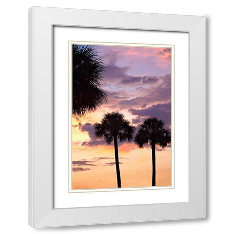 San Marcos Sunset V White Modern Wood Framed Art Print with Double Matting by Hausenflock, Alan