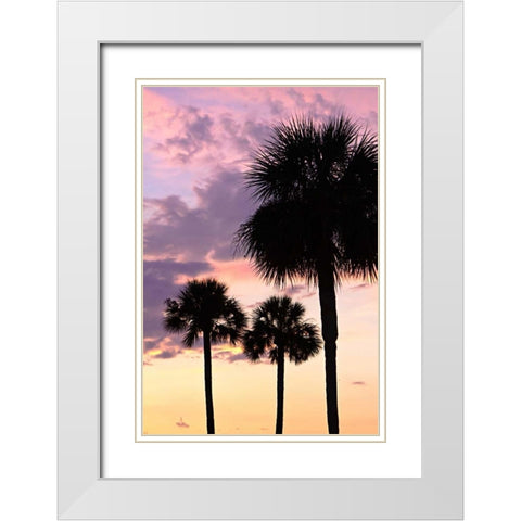 San Marcos Sunset VI White Modern Wood Framed Art Print with Double Matting by Hausenflock, Alan