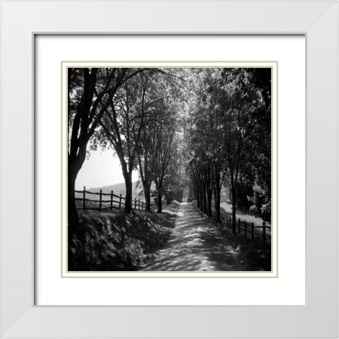 Ash Lawn Square I White Modern Wood Framed Art Print with Double Matting by Hausenflock, Alan