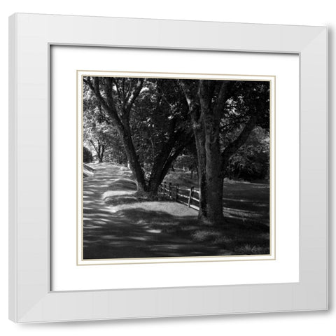 Ash Lawn Square II White Modern Wood Framed Art Print with Double Matting by Hausenflock, Alan