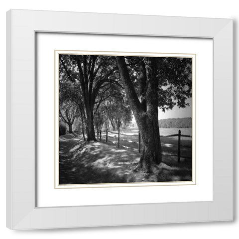 Summer Stroll Square II White Modern Wood Framed Art Print with Double Matting by Hausenflock, Alan