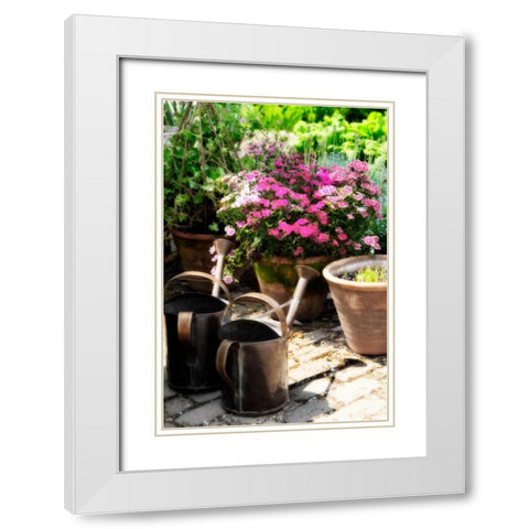 The Garden Nook III White Modern Wood Framed Art Print with Double Matting by Hausenflock, Alan