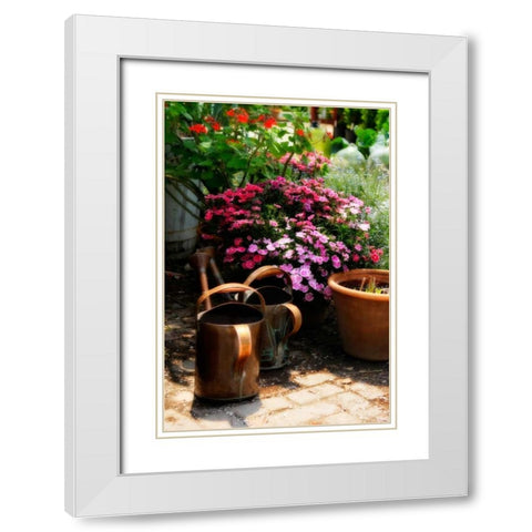 The Garden Nook IV White Modern Wood Framed Art Print with Double Matting by Hausenflock, Alan