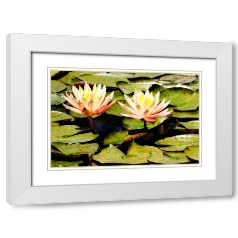 Blushing Lilies II White Modern Wood Framed Art Print with Double Matting by Hausenflock, Alan