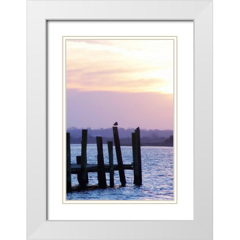 Seagulls at Sunset White Modern Wood Framed Art Print with Double Matting by Hausenflock, Alan
