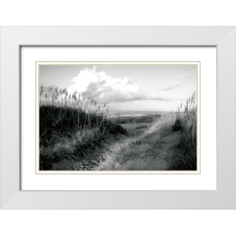 Dunes I White Modern Wood Framed Art Print with Double Matting by Hausenflock, Alan