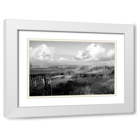 Dunes II White Modern Wood Framed Art Print with Double Matting by Hausenflock, Alan