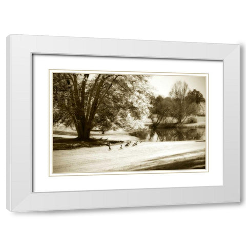 Geese at the Pond II White Modern Wood Framed Art Print with Double Matting by Hausenflock, Alan