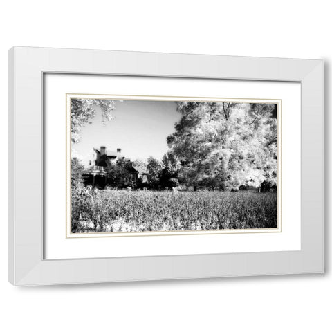 Rural Route III3 II White Modern Wood Framed Art Print with Double Matting by Hausenflock, Alan