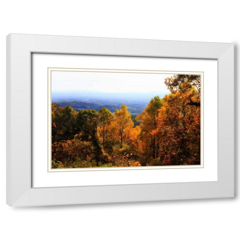 Shenandoah Valley II White Modern Wood Framed Art Print with Double Matting by Hausenflock, Alan