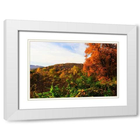 Rockfish Gap White Modern Wood Framed Art Print with Double Matting by Hausenflock, Alan