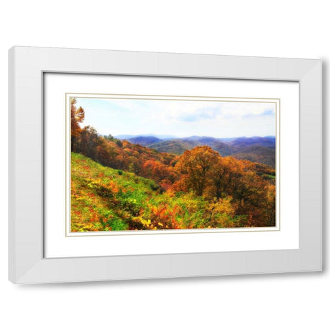 Sawmill Run White Modern Wood Framed Art Print with Double Matting by Hausenflock, Alan