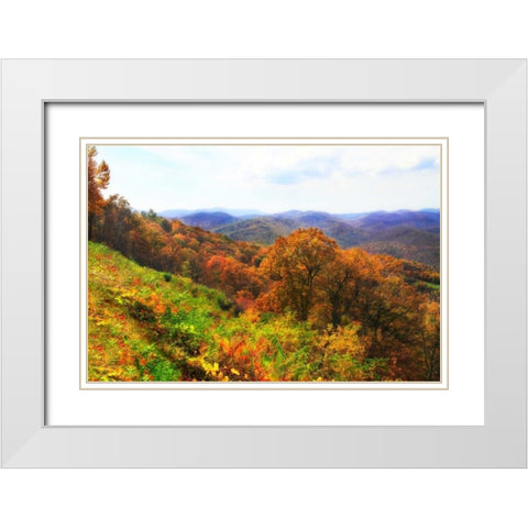 Sawmill Run White Modern Wood Framed Art Print with Double Matting by Hausenflock, Alan