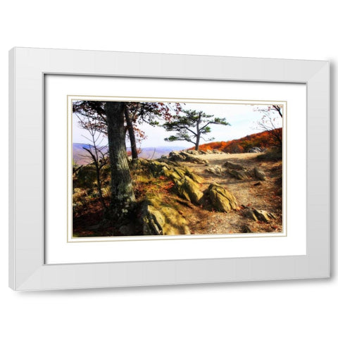 Stoney Ridge II White Modern Wood Framed Art Print with Double Matting by Hausenflock, Alan