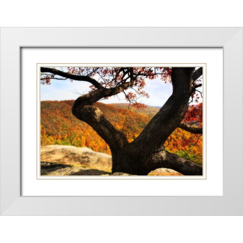 Wildcat Ridge II White Modern Wood Framed Art Print with Double Matting by Hausenflock, Alan