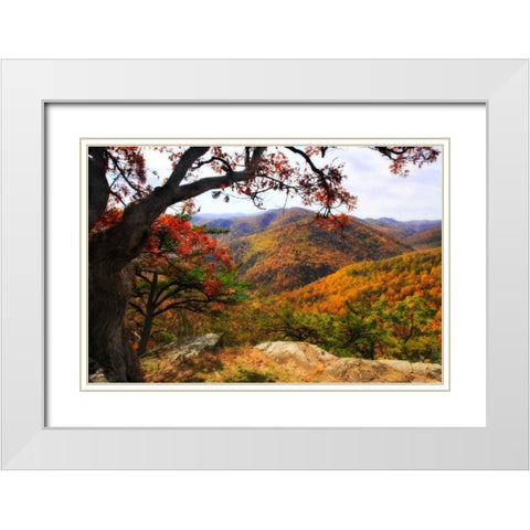 Wildcat Ridge III White Modern Wood Framed Art Print with Double Matting by Hausenflock, Alan