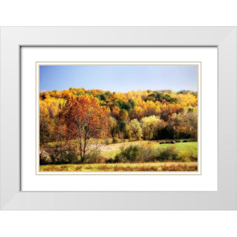 Sperryville Fields I White Modern Wood Framed Art Print with Double Matting by Hausenflock, Alan