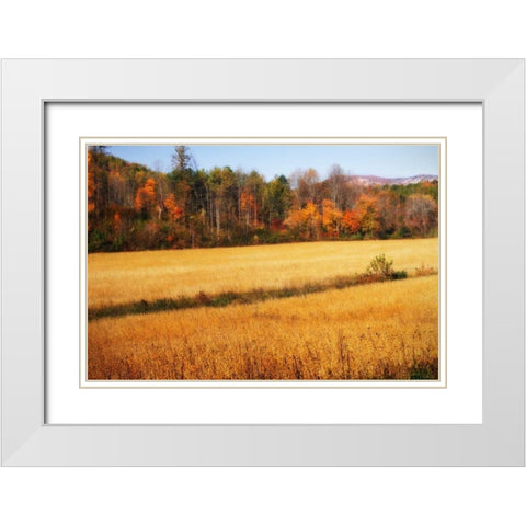Sperryville Fields III White Modern Wood Framed Art Print with Double Matting by Hausenflock, Alan