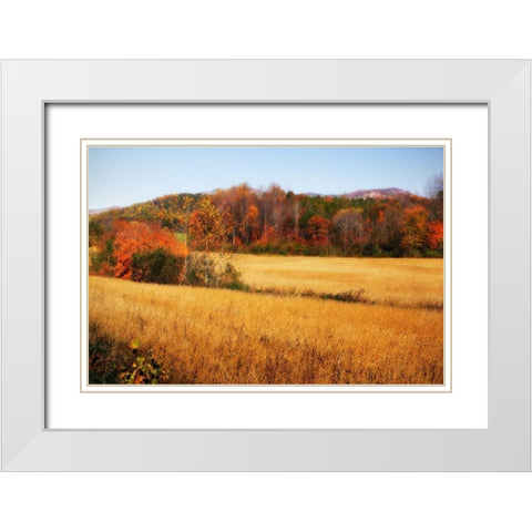 Sperryville Fields IV White Modern Wood Framed Art Print with Double Matting by Hausenflock, Alan