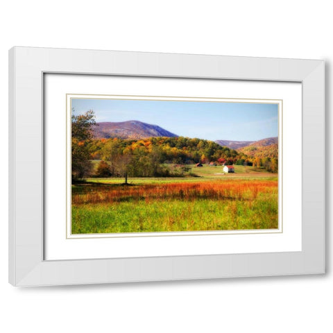 Autumn Fields II White Modern Wood Framed Art Print with Double Matting by Hausenflock, Alan