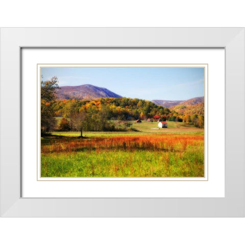Autumn Fields II White Modern Wood Framed Art Print with Double Matting by Hausenflock, Alan