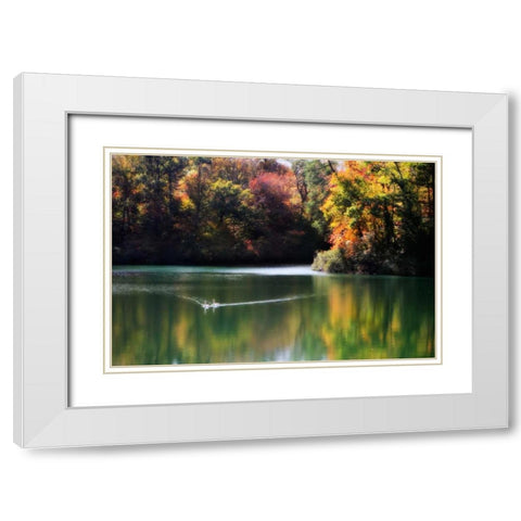 Swans on the Lake I White Modern Wood Framed Art Print with Double Matting by Hausenflock, Alan
