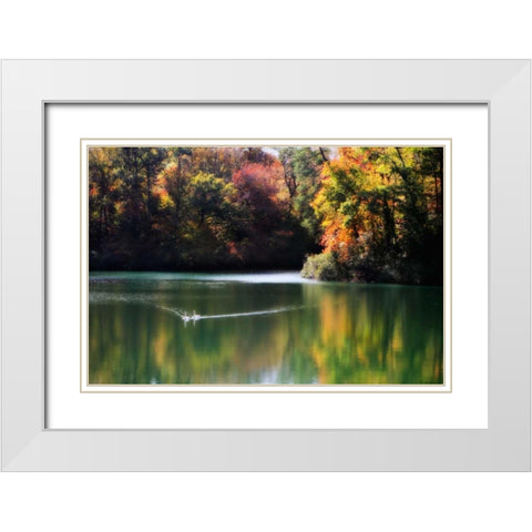 Swans on the Lake I White Modern Wood Framed Art Print with Double Matting by Hausenflock, Alan
