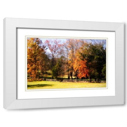 Keswick Pasture II White Modern Wood Framed Art Print with Double Matting by Hausenflock, Alan