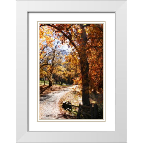 Autumn on Kent Farm IV White Modern Wood Framed Art Print with Double Matting by Hausenflock, Alan