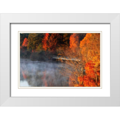 Cold Autumn Morning II White Modern Wood Framed Art Print with Double Matting by Hausenflock, Alan