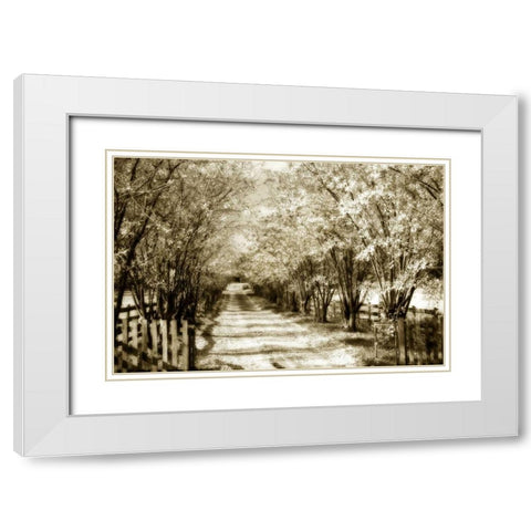 Glen Allen Farm II White Modern Wood Framed Art Print with Double Matting by Hausenflock, Alan