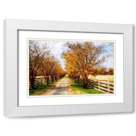 Glen Allen Farm III White Modern Wood Framed Art Print with Double Matting by Hausenflock, Alan