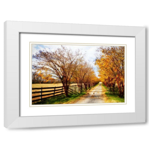 Glen Allen Farm IV White Modern Wood Framed Art Print with Double Matting by Hausenflock, Alan