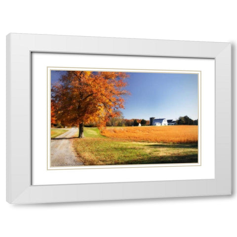 Family Farm I White Modern Wood Framed Art Print with Double Matting by Hausenflock, Alan