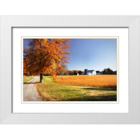 Family Farm I White Modern Wood Framed Art Print with Double Matting by Hausenflock, Alan