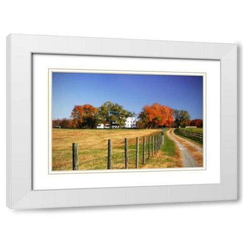 Family Farm II White Modern Wood Framed Art Print with Double Matting by Hausenflock, Alan