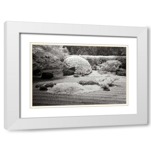 San Francisco Garden II White Modern Wood Framed Art Print with Double Matting by Johnson, George