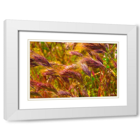 Colorful Brush White Modern Wood Framed Art Print with Double Matting by Johnson, George