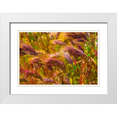 Colorful Brush White Modern Wood Framed Art Print with Double Matting by Johnson, George