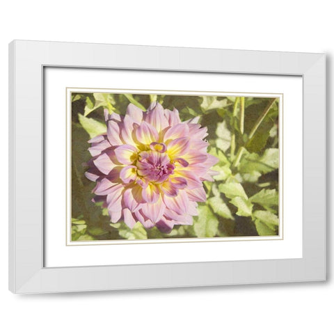 Garden Dahlias II White Modern Wood Framed Art Print with Double Matting by Johnson, George