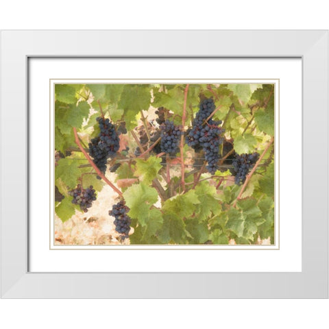 Low Hanging Fruit White Modern Wood Framed Art Print with Double Matting by Johnson, George
