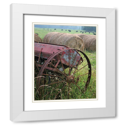 Sewing Seeds I White Modern Wood Framed Art Print with Double Matting by Larson, Scott