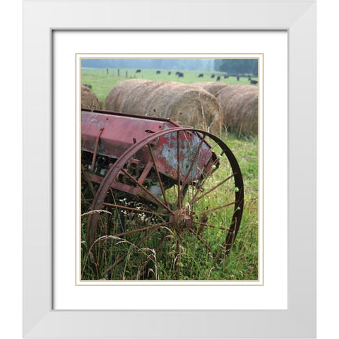 Sewing Seeds I White Modern Wood Framed Art Print with Double Matting by Larson, Scott