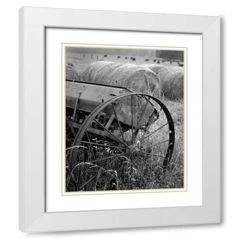 Sewing Seeds II White Modern Wood Framed Art Print with Double Matting by Larson, Scott