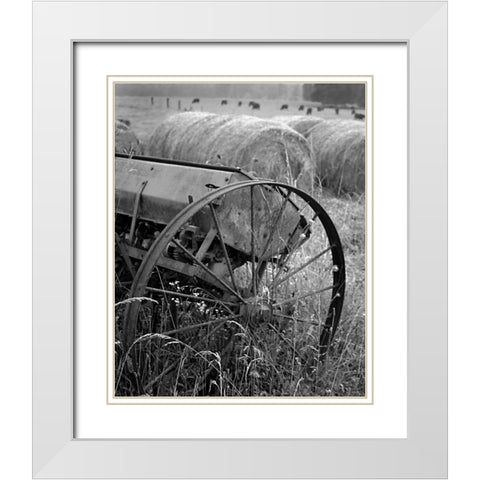 Sewing Seeds II White Modern Wood Framed Art Print with Double Matting by Larson, Scott