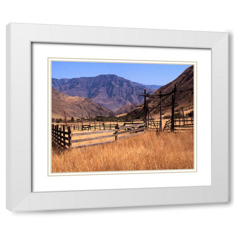 Summer Corral II White Modern Wood Framed Art Print with Double Matting by Larson, Scott
