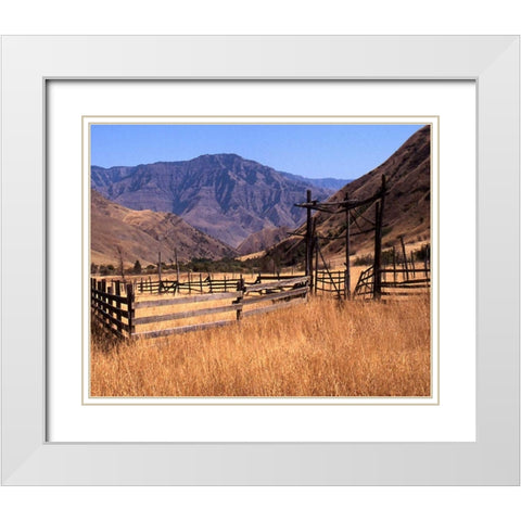 Summer Corral II White Modern Wood Framed Art Print with Double Matting by Larson, Scott