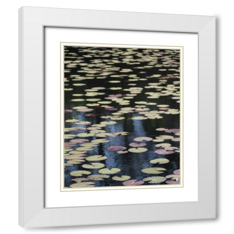 Lily Pond I White Modern Wood Framed Art Print with Double Matting by Larson, Scott