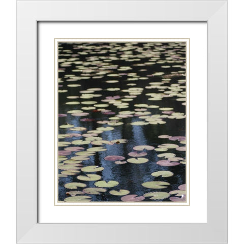 Lily Pond I White Modern Wood Framed Art Print with Double Matting by Larson, Scott