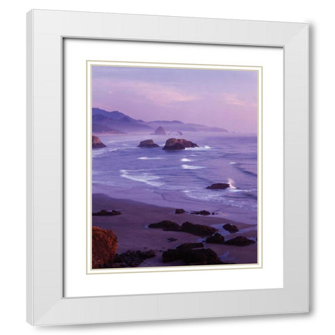 Ecola State Park I White Modern Wood Framed Art Print with Double Matting by Leahy, Ike